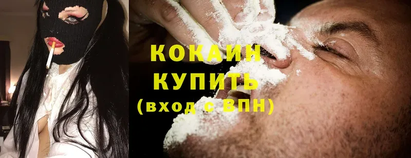 shop Telegram  Королёв  Cocaine Эквадор 